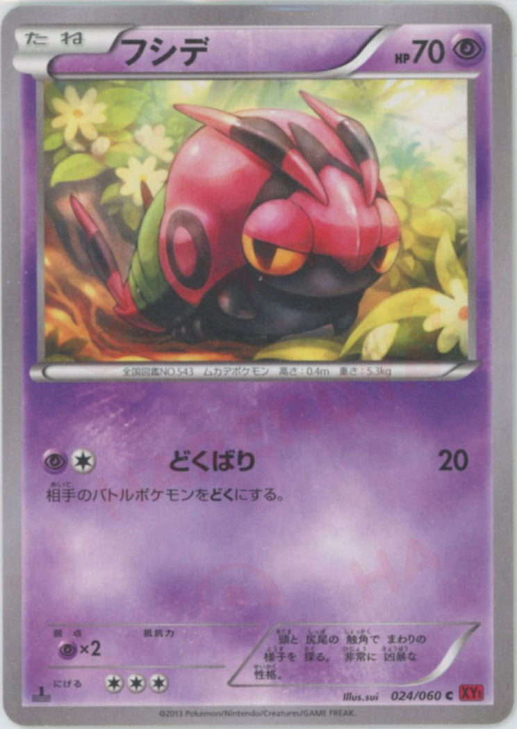 フシデ(C){超}〈024/060〉[XY1-r]
