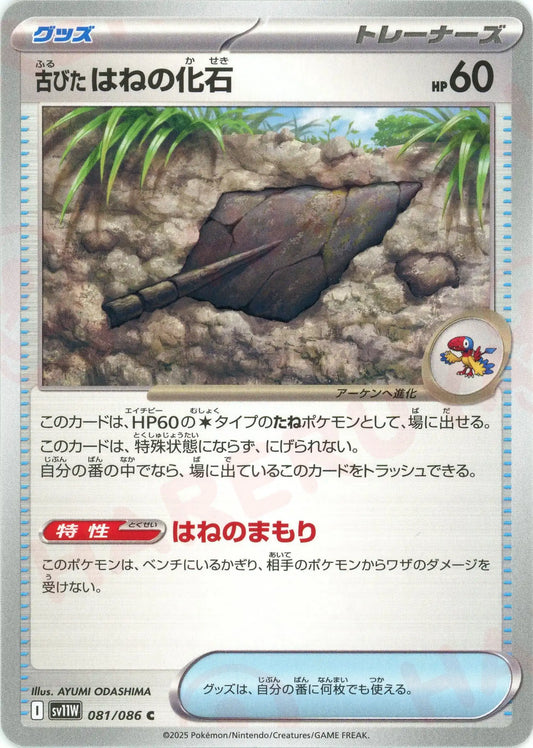 古びたはねの化石(C){グッズ}〈081/086〉[SV11W]